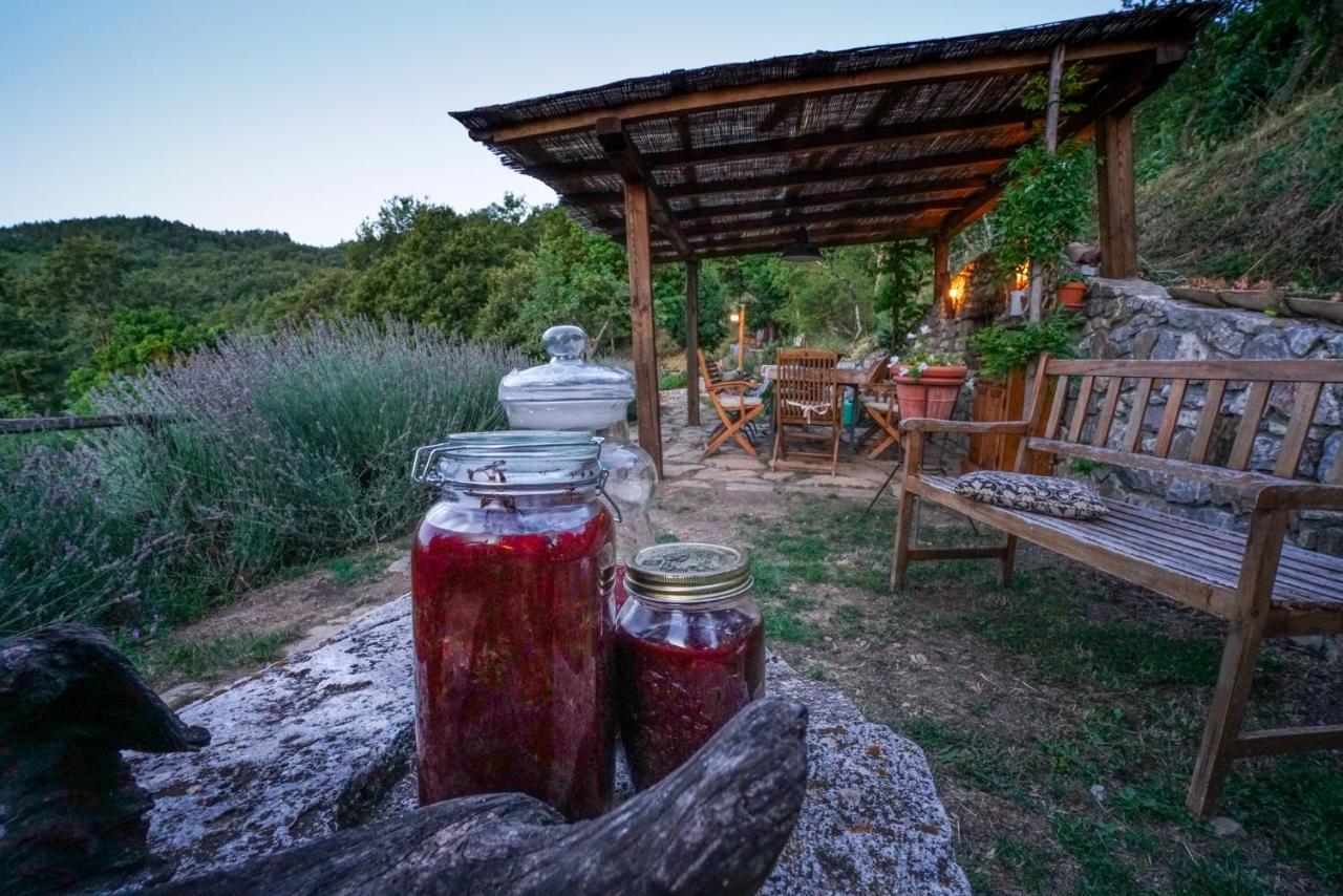 Agriturismo La Colombella Bagni San Filippo Kültér fotó