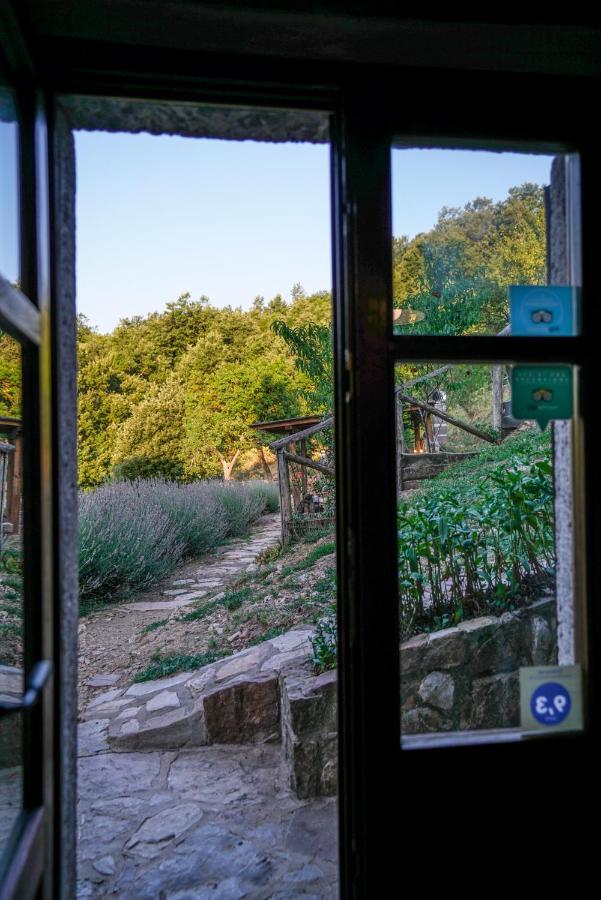 Agriturismo La Colombella Bagni San Filippo Kültér fotó