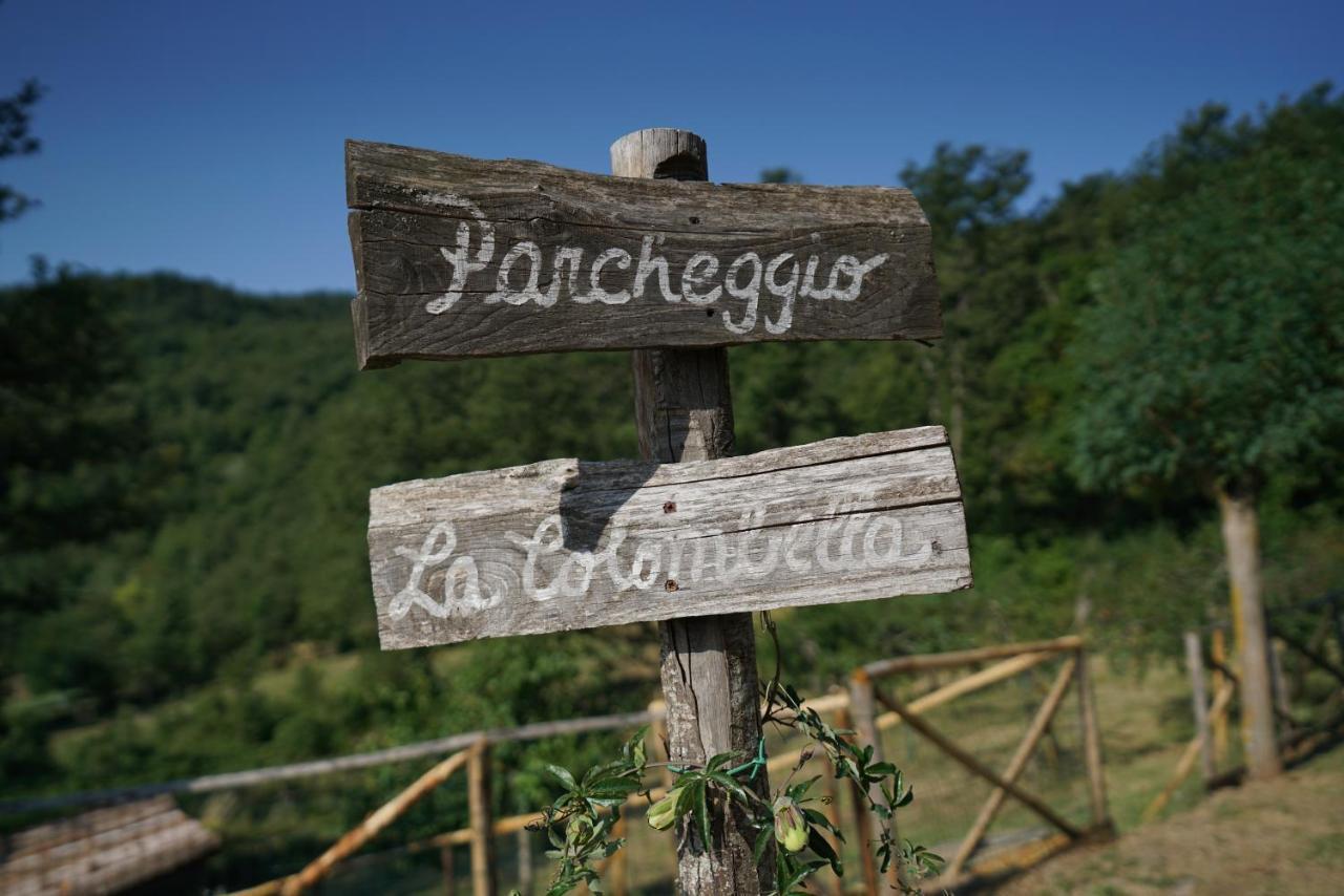 Agriturismo La Colombella Bagni San Filippo Kültér fotó