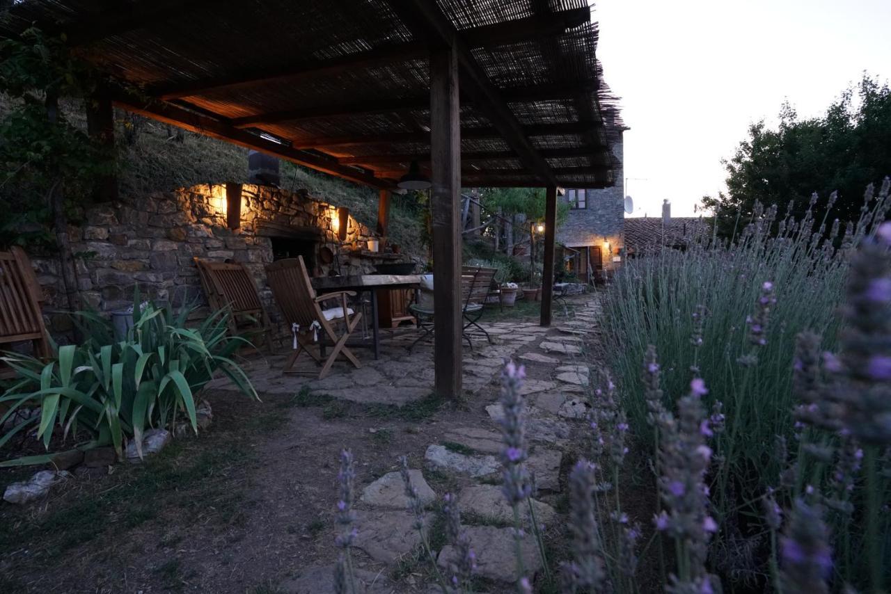 Agriturismo La Colombella Bagni San Filippo Kültér fotó